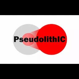 Pseudolithic